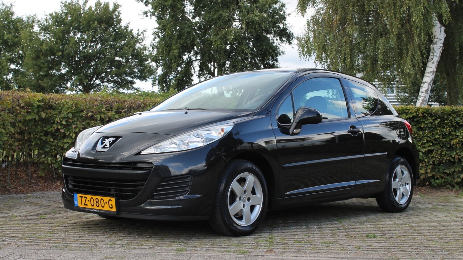 Peugeot 207 Hatchback 2010 TZ-080-G 1