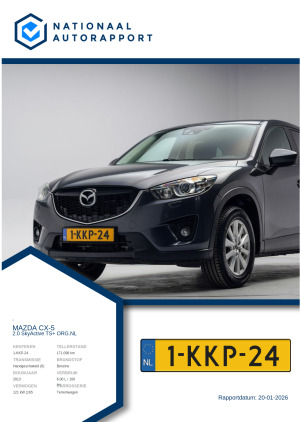 Afbeelding van het Nationaal Autorapport