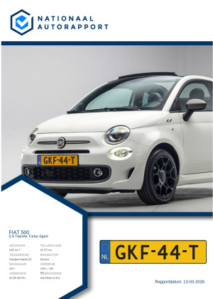 Afbeelding van het Nationaal Autorapport