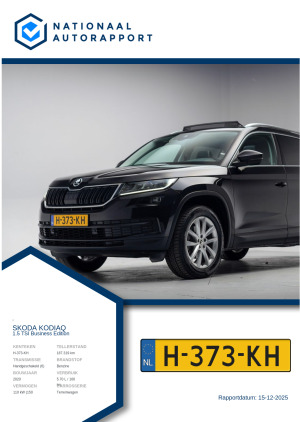 Afbeelding van het Nationaal Autorapport