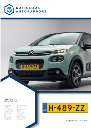 Afbeelding van het Nationaal Autorapport