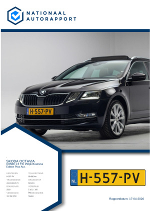 Afbeelding van het Nationaal Autorapport