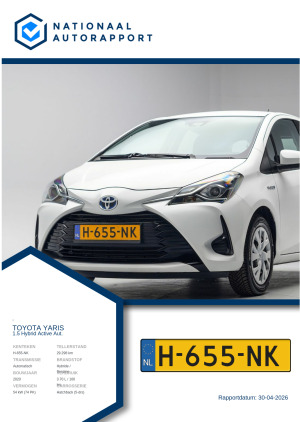 Afbeelding van het Nationaal Autorapport