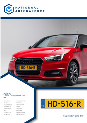 Afbeelding van het Nationaal Autorapport