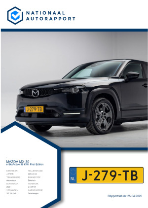 Afbeelding van het Nationaal Autorapport