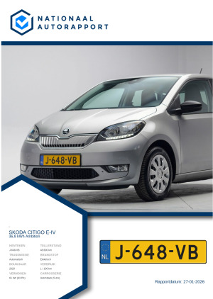 Afbeelding van het Nationaal Autorapport