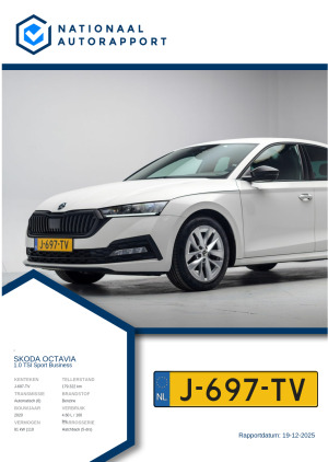 Afbeelding van het Nationaal Autorapport