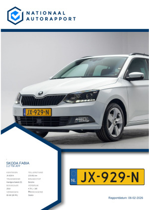 Afbeelding van het Nationaal Autorapport