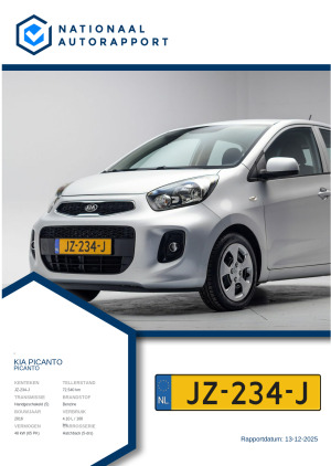 Afbeelding van het Nationaal Autorapport