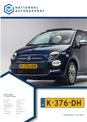 Afbeelding van het Nationaal Autorapport