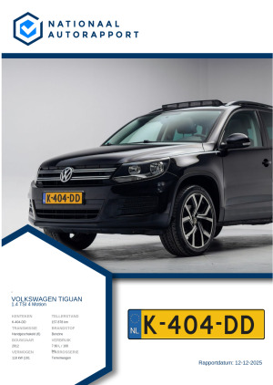 Afbeelding van het Nationaal Autorapport