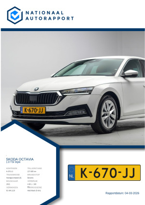 Afbeelding van het Nationaal Autorapport