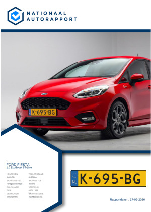 Afbeelding van het Nationaal Autorapport