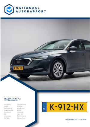 Afbeelding van het Nationaal Autorapport