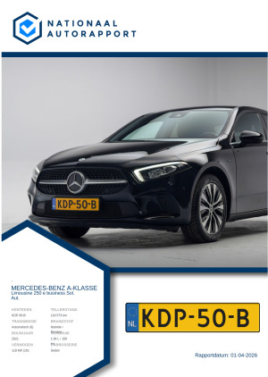 Afbeelding van het Nationaal Autorapport