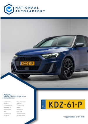 Afbeelding van het Nationaal Autorapport