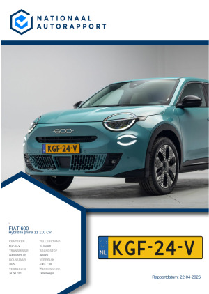 Afbeelding van het Nationaal Autorapport