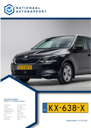 Afbeelding van het Nationaal Autorapport