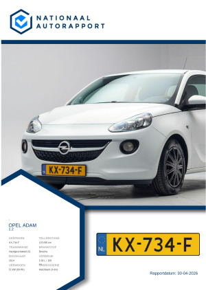 Afbeelding van het Nationaal Autorapport