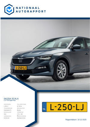 Afbeelding van het Nationaal Autorapport