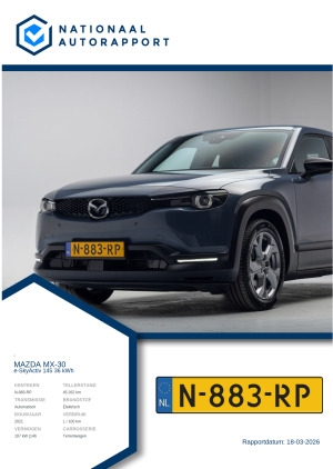 Afbeelding van het Nationaal Autorapport