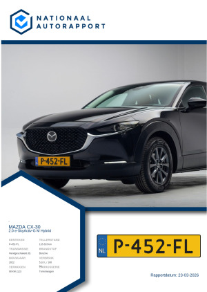 Afbeelding van het Nationaal Autorapport