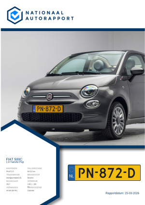 Afbeelding van het Nationaal Autorapport