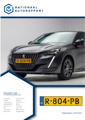 Afbeelding van het Nationaal Autorapport