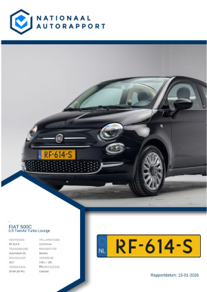 Afbeelding van het Nationaal Autorapport