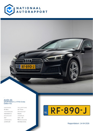 Afbeelding van het Nationaal Autorapport