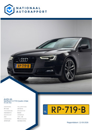 Afbeelding van het Nationaal Autorapport