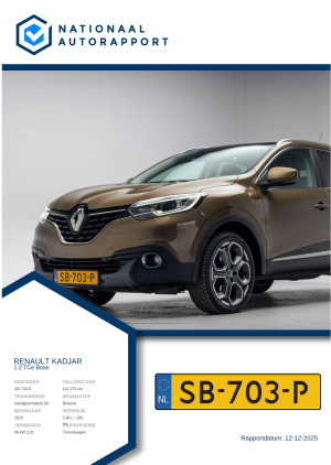 Afbeelding van het Nationaal Autorapport