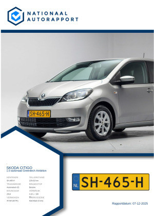 Afbeelding van het Nationaal Autorapport