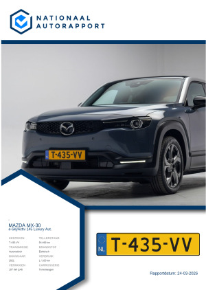 Afbeelding van het Nationaal Autorapport