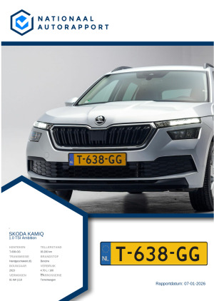 Afbeelding van het Nationaal Autorapport