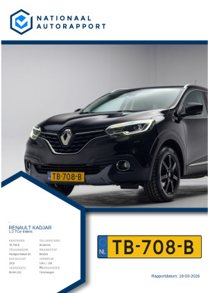 Afbeelding van het Nationaal Autorapport