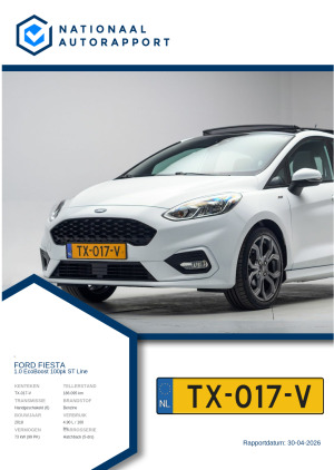 Afbeelding van het Nationaal Autorapport