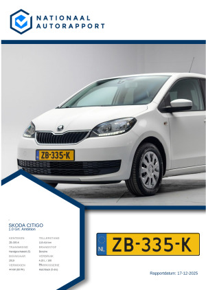 Afbeelding van het Nationaal Autorapport